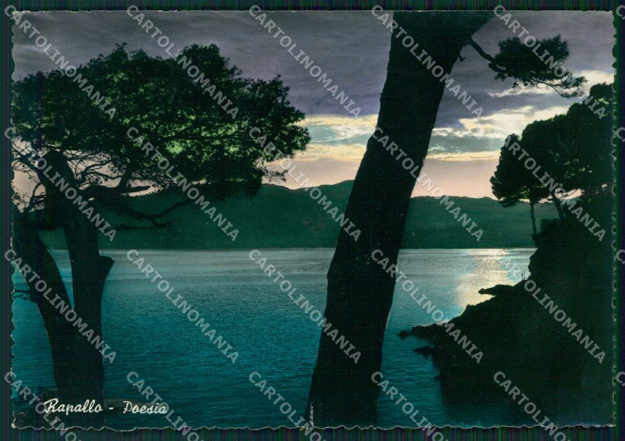 Genova Rapallo FG Foto cartolina KB5558 – fronte