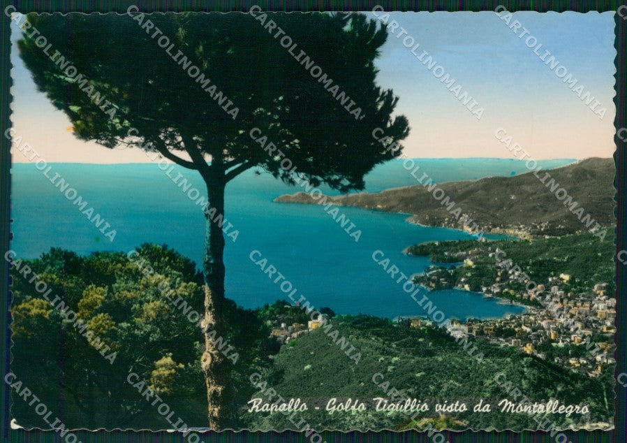 Genova Rapallo Golfo Tigullio PIEGA FG Foto cartolina KB5562 – fronte