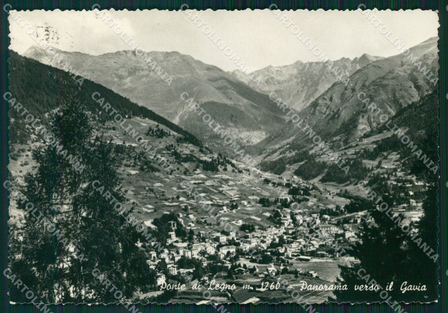 Brescia Ponte di Legno FG Foto cartolina KB5580 – fronte