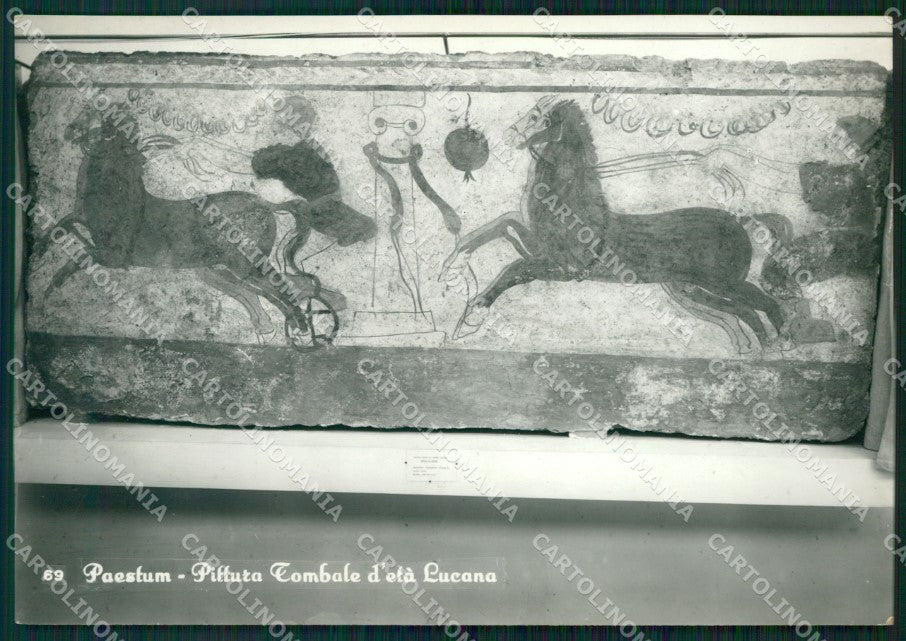 Salerno Paestum FG Foto cartolina KB5607 – fronte