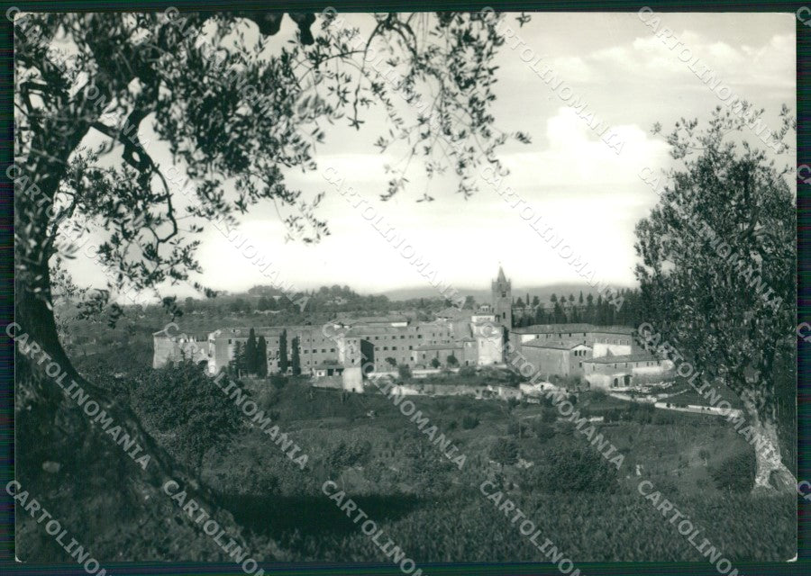 Siena Monte Oliveto Maggiore FG Foto cartolina KB5617 – fronte