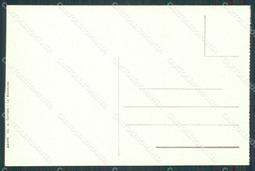 Sassari La Maddalena Scuole postcard KF1166 – retro