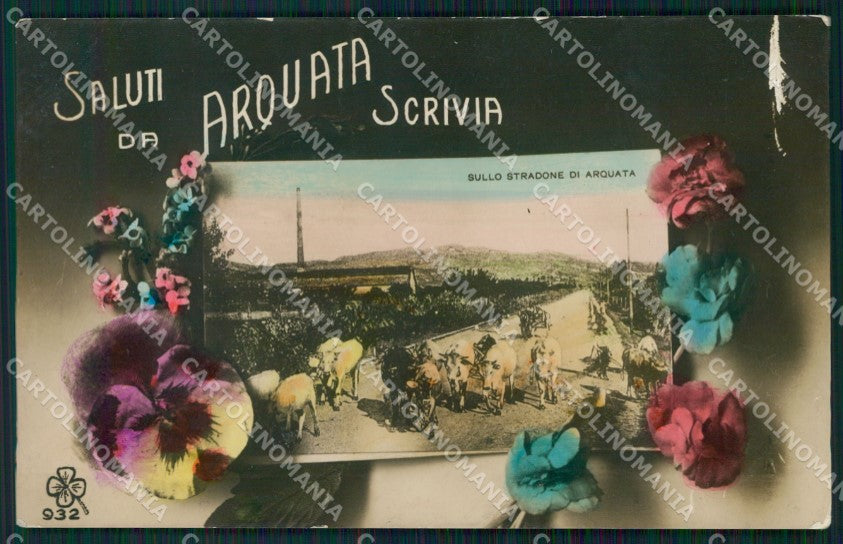 Alessandria Arquata Scrivia Saluti da Foto postcard KF1196 – fronte