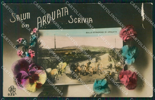 Alessandria Arquata Scrivia Saluti da Foto postcard KF1196 – fronte