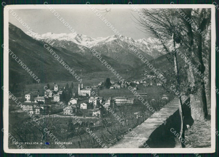 Torino Torre Pellice Foto FG cartolina KF1585 – fronte