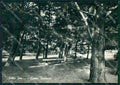 Torino Lanzo Torinese Villa Ida Foto FG cartolina KF1587 – fronte
