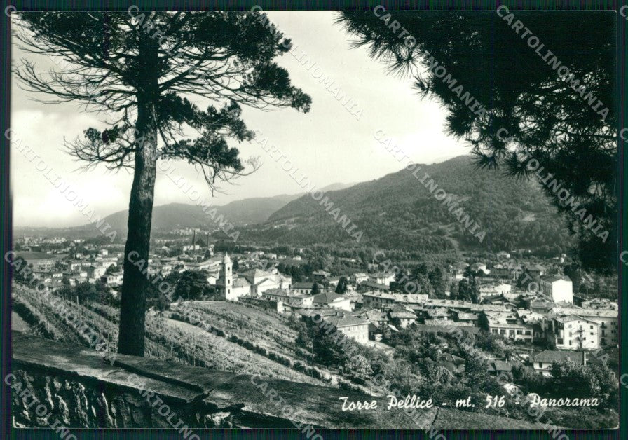 Torino Torre Pellice Foto FG cartolina KF1593 – fronte