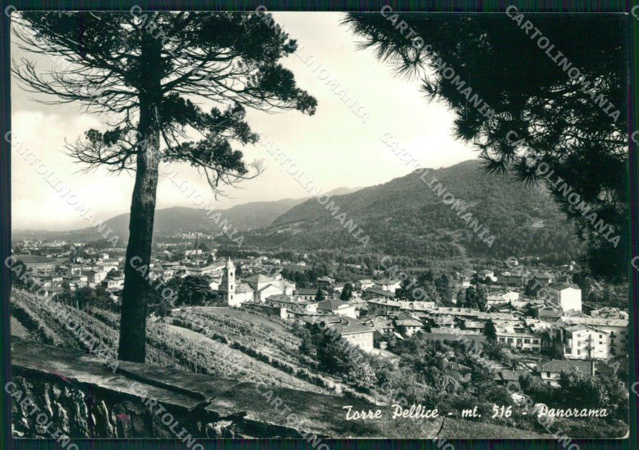 Torino Torre Pellice Foto FG cartolina KF1594 – fronte