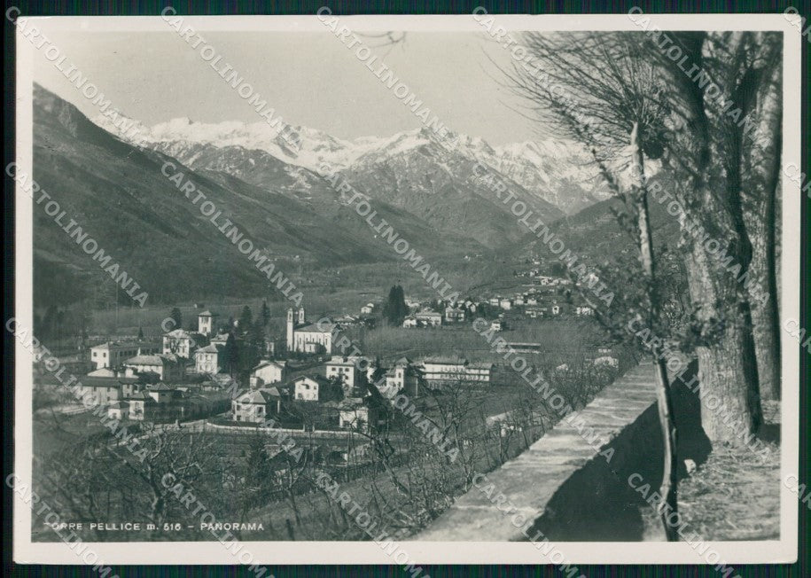 Torino Torre Pellice Foto FG cartolina KF1611 – fronte