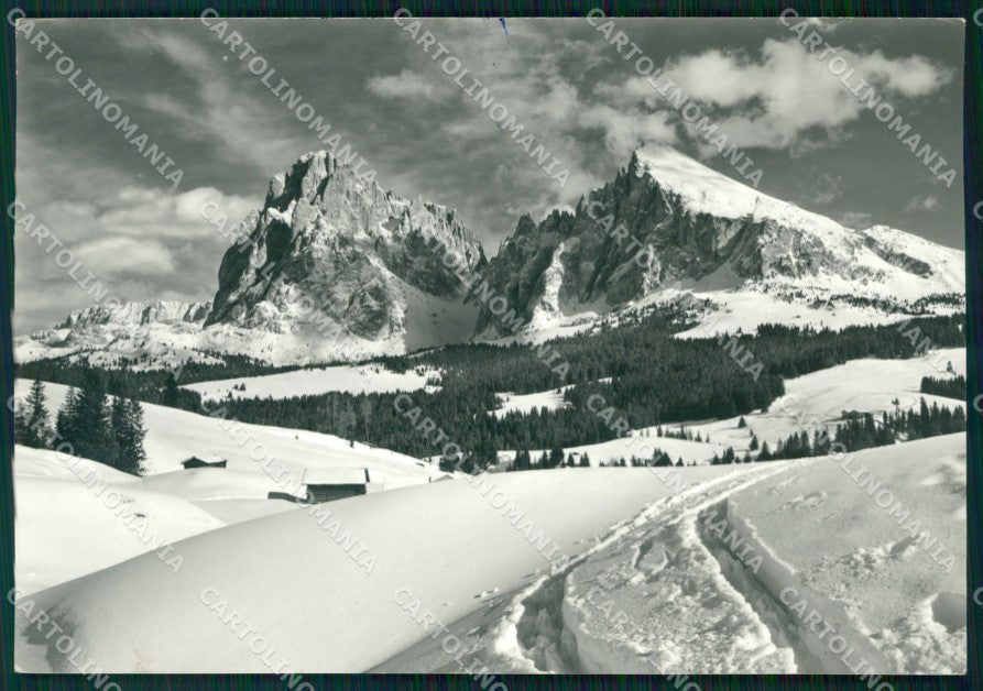 Bolzano Alpe di Siusi Sassolungo Nevicata Foto FG cartolina KF1627 – fronte