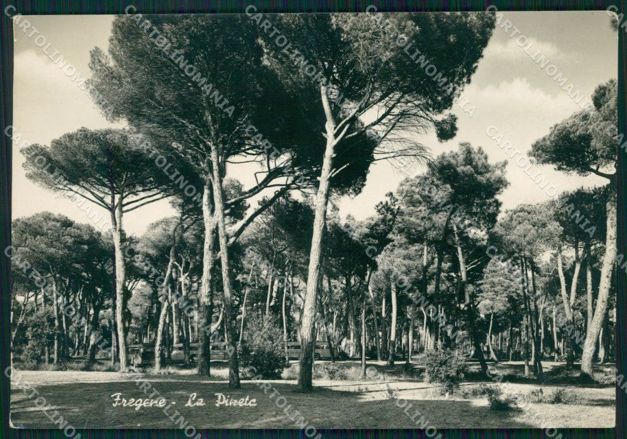 Roma Fiumicino Fregene PIEGHE Foto FG cartolina KF1632 – fronte