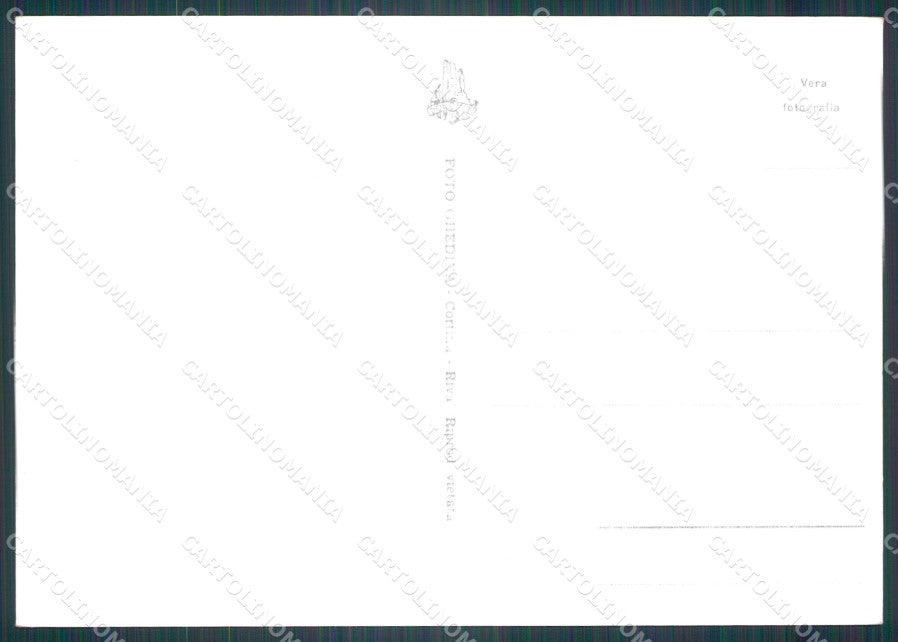 Bolzano Alpe di Siusi Mucche Foto FG cartolina KF1634 – retro