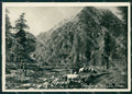 Torino Usseglio La Stura Pecore PIEGHINA Foto FG cartolina KF1663 – fronte