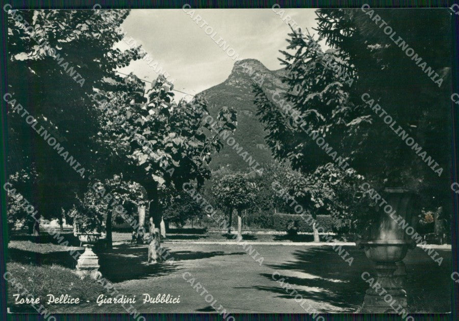 Torino Torre Pellice Foto FG cartolina KF1689 – fronte