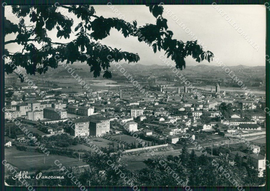 Cuneo Alba PIEGHINE Foto FG cartolina KF1691 – fronte