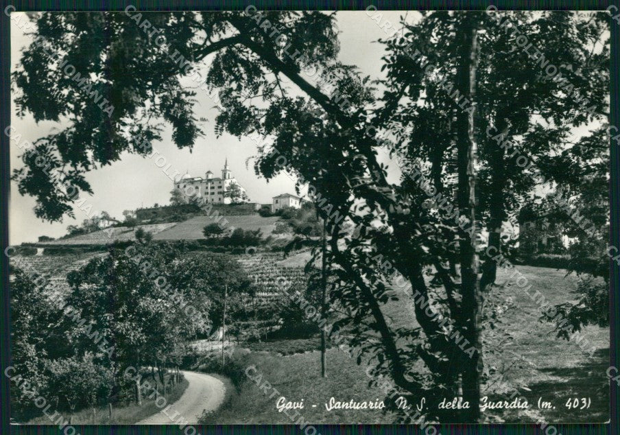 Alessandria Gavi Santuario Foto FG cartolina KF1693 – fronte