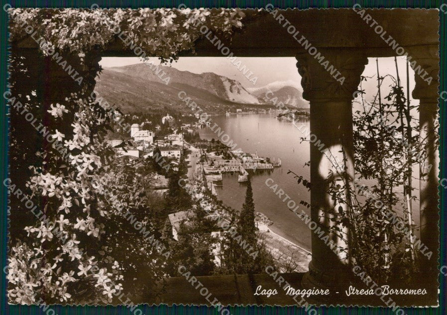 Verbania Stresa Lago Maggiore Isole Borromee Foto FG cartolina KF1722 – fronte
