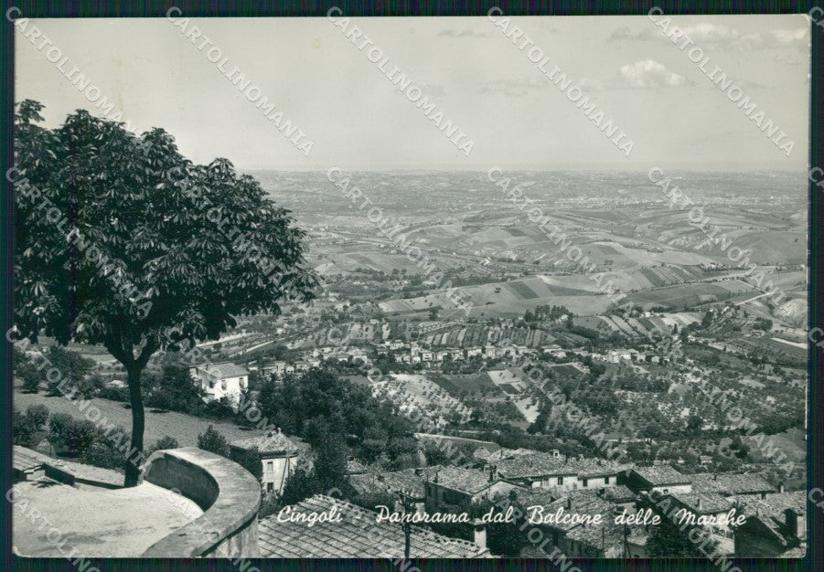 Macerata Cingoli Foto FG cartolina KF1795 – fronte