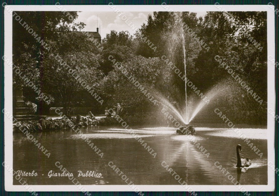 Viterbo Città Fontana PIEGHINA Foto FG cartolina KF1818 – fronte