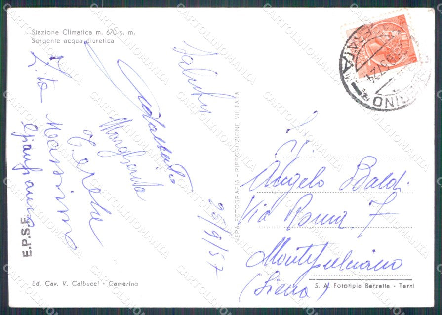 Macerata Camerino Foto FG cartolina KF1836 – retro