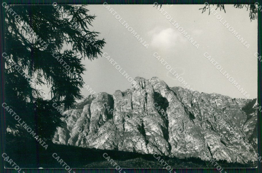 Trento Tesero Monte Cornon PIEGHINE Foto FG cartolina KF1861 – fronte