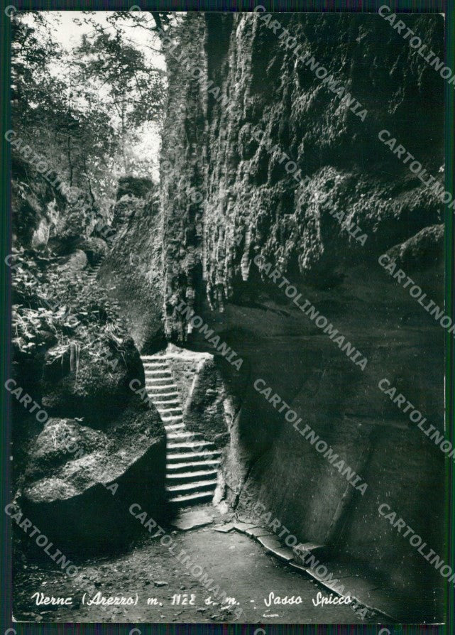 Arezzo la Verna Sasso Spicco Foto FG cartolina KF1880 – fronte