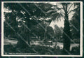 Vibo Valentia Città Villa Comunale Foto FG cartolina KF1886 – fronte
