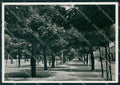 Vibo Valentia Città Foto FG cartolina KF1887 – fronte