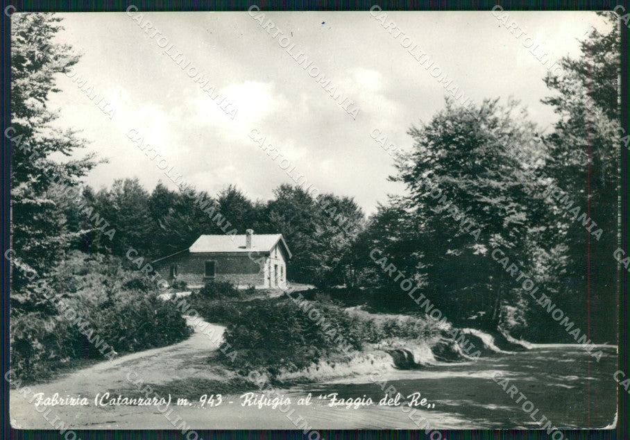Vibo Valentia Fabrizia Rifugio Faggio del Re PIEGHINA Foto FG cartolina KF1897 – fronte