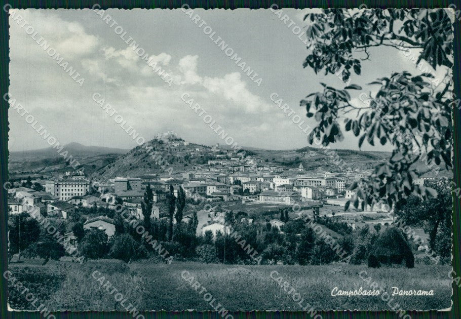 Campobasso Città Foto FG cartolina KF1914 – fronte