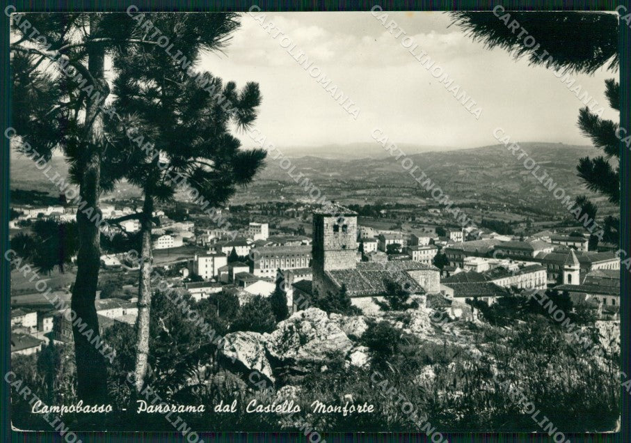 Campobasso Città Castello Monforte Foto FG cartolina KF1918 – fronte