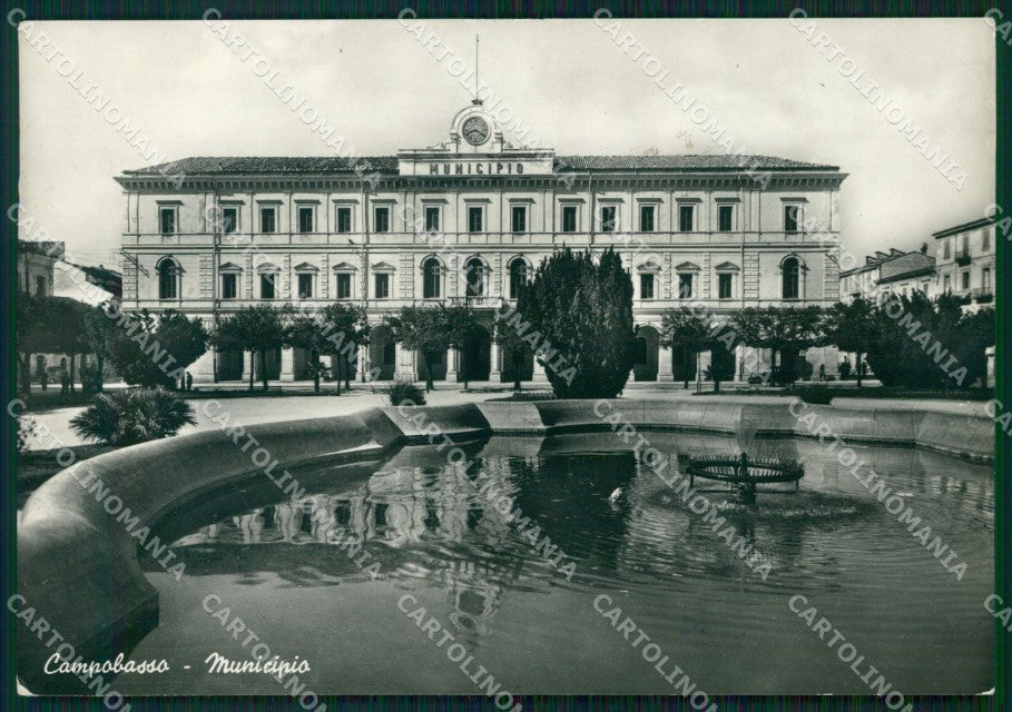 Campobasso Città Municipio PIEGHINA Foto FG cartolina KF1920 – fronte
