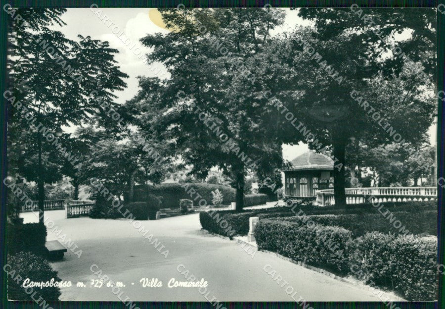 Campobasso Città Villa Comunale Foto FG cartolina KF1924 – fronte