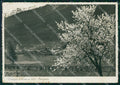 Aosta Courmayeur Valdigna d'Aosta PIEGA ABRASA Foto FG cartolina KF1928 – fronte