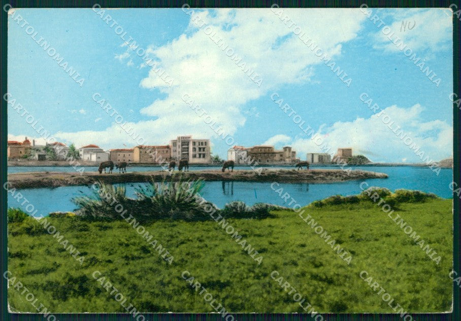 Oristano Bosa PIEGHINA Foto FG cartolina KF1932 – fronte