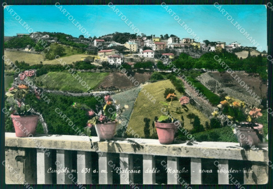 Macerata Cingoli Macerata Cingoli Foto FG cartolina KF1949 – fronte