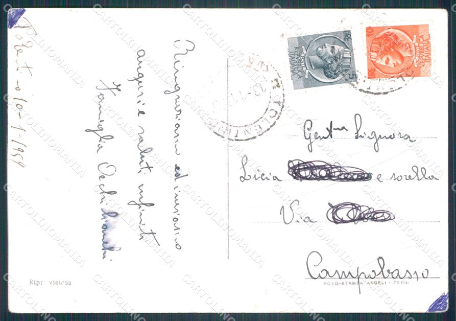Macerata Tolentino PIEGHE Foto FG cartolina KF1951 – retro