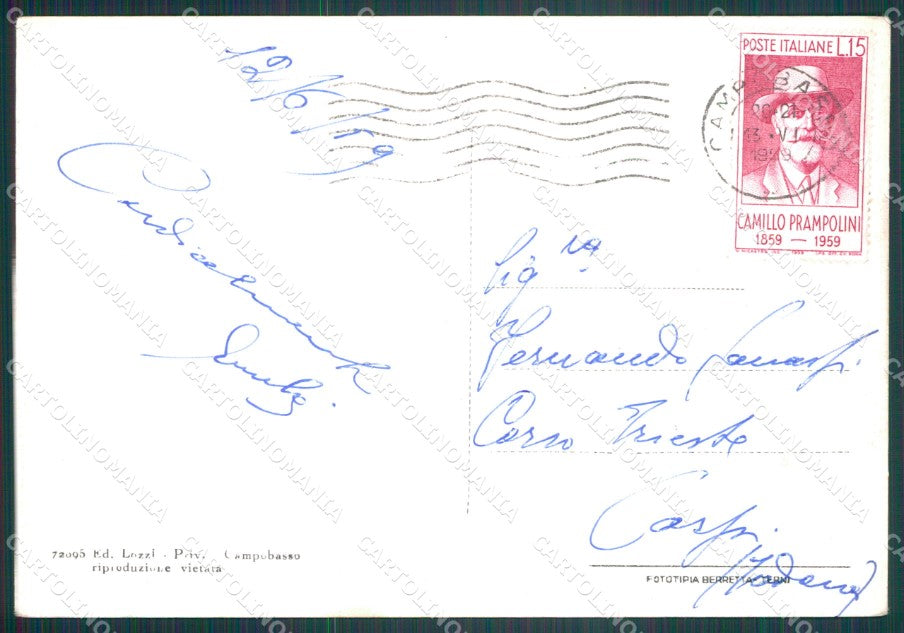 Campobasso Città Saluti da FG cartolina KF2014 – retro