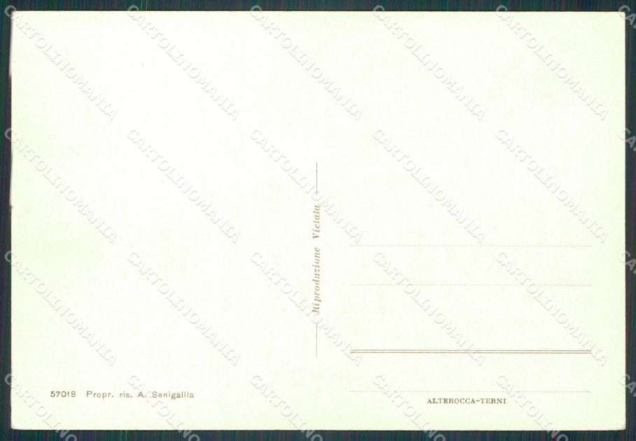 Macerata Treia FG cartolina KF2022 – retro