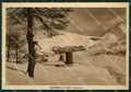 Torino Sestriere Nevicata PIEGHINA FG cartolina KF2073 – fronte