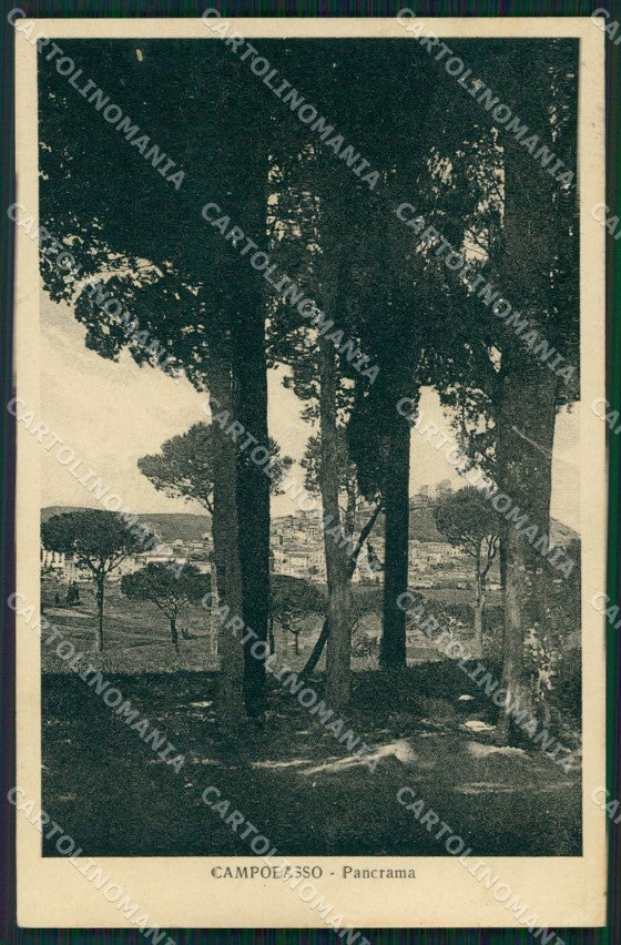 Campobasso Città cartolina KF2135 – fronte
