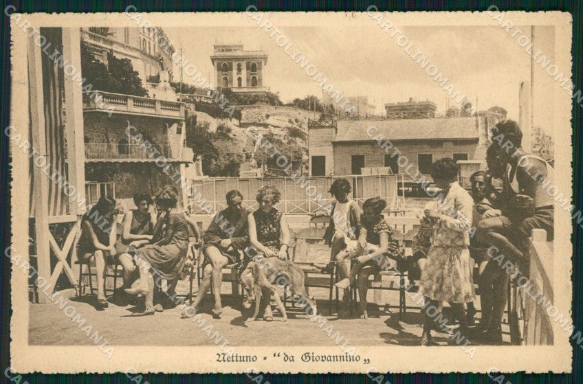 Roma Nettuno Levriero cartolina KF2438 – fronte