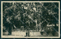 Milano Città Via San Damiano Foto cartolina KF2557 – fronte