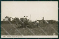 Ascoli Piceno San Benedetto del Tronto Mietitura NPG Foto cartolina KF2653 – fronte