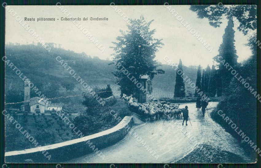 Firenze Borgo San Lorenzo Ronta Pecore PIEGA cartolina KF2696 – fronte