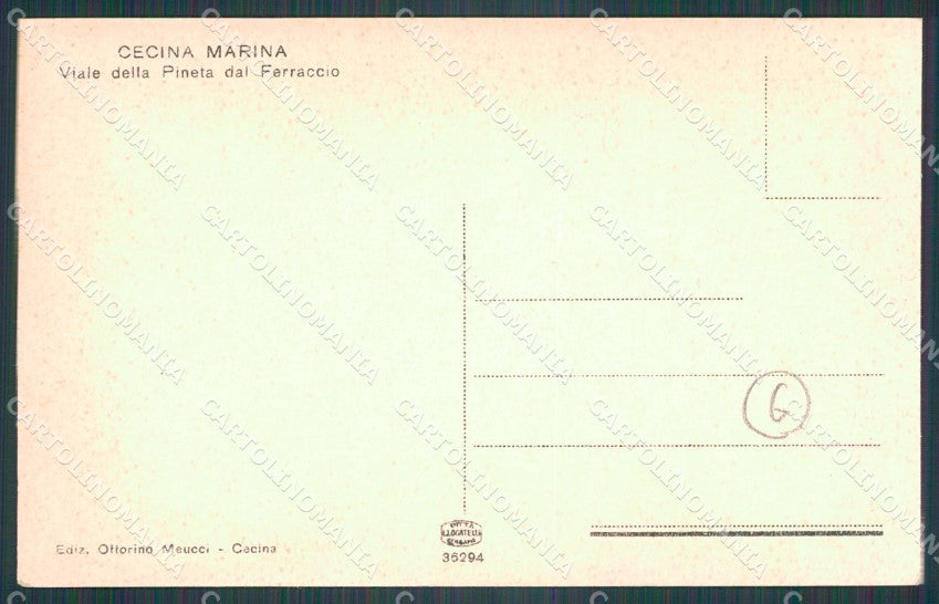 Livorno Cecina Marina di cartolina KF3120 – retro