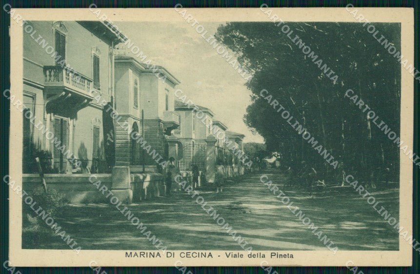 Livorno Cecina Marina di cartolina KF3125 – fronte