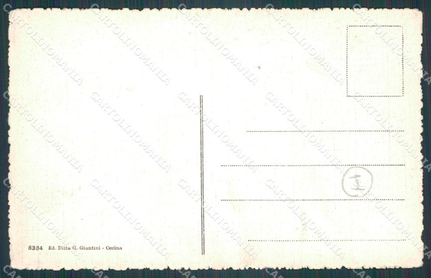 Livorno Cecina cartolina KF3129 – retro