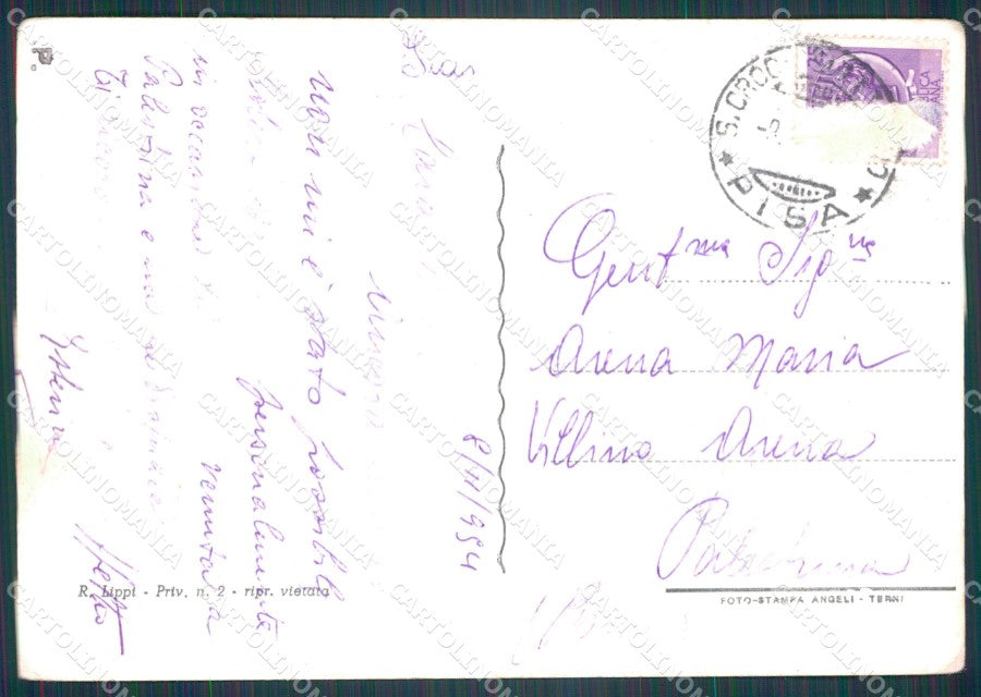 Pisa Santa Croce sull'Arno Corriera PIEGHINA Foto FG cartolina KF3263 – retro