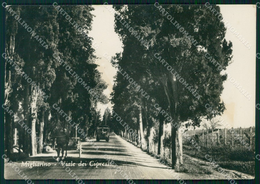 Pisa Vecchiano Migliarino Carretto Camion PIEGHINE Foto FG cartolina KF3267 – fronte